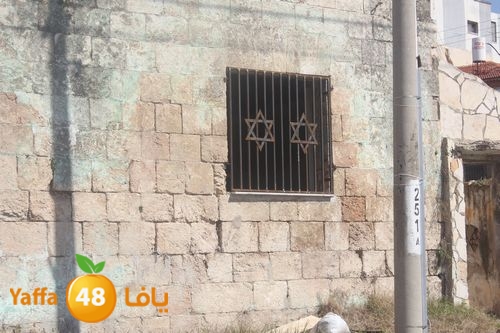 kaniswa7akhadra2 (9).JPG